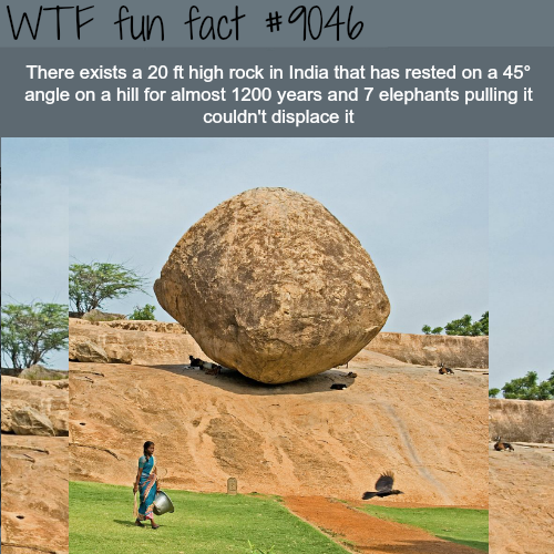 krishna butter ball - Wtf fun fact There exists a 20 ft high rock in India that has rested on a 45 angle on a hill for almost 1200 years and 7 elephants pulling it couldn't displace it
