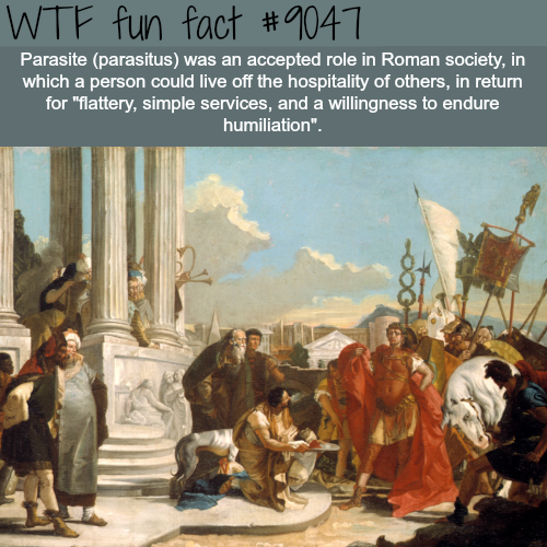 pompey julius caesar - Wtf fun fact Parasite parasitus was an accepted role in Roman society, in which a person could live off the hospitality of others, in return for "flattery, simple services, and a willingness to endure humiliation".