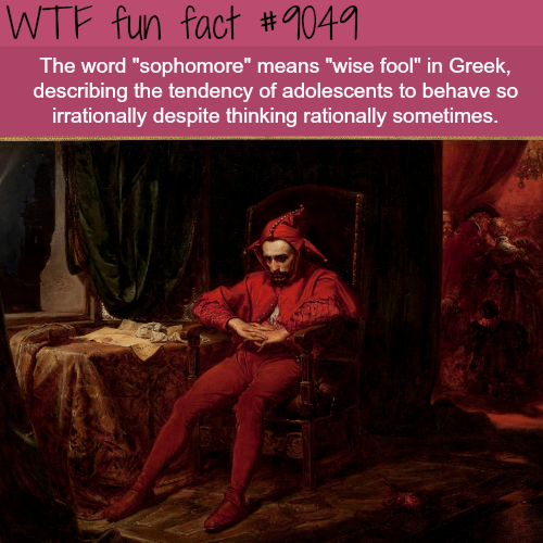 rigoletto dayton opera - Wtf fun fact The word "sophomore" means "wise fool" in Greek, describing the tendency of adolescents to behave so irrationally despite thinking rationally sometimes.