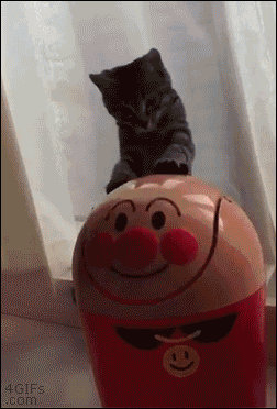 Caturday gif of a cat playing with a trash can