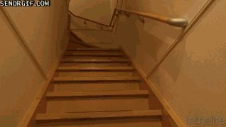 Caturday gif of a cat zooming down stairs to greet its human