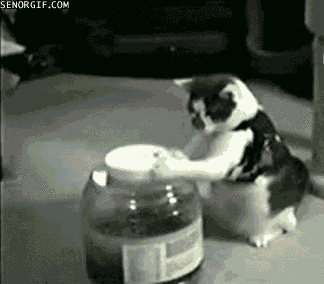 Caturday gif of a cat opening a jar