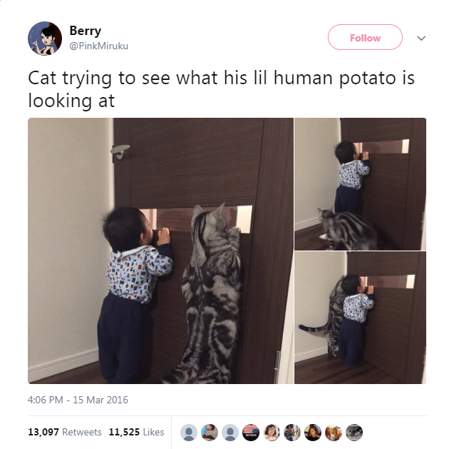 Caturday meme of a cat and a baby looking out a mail slot together