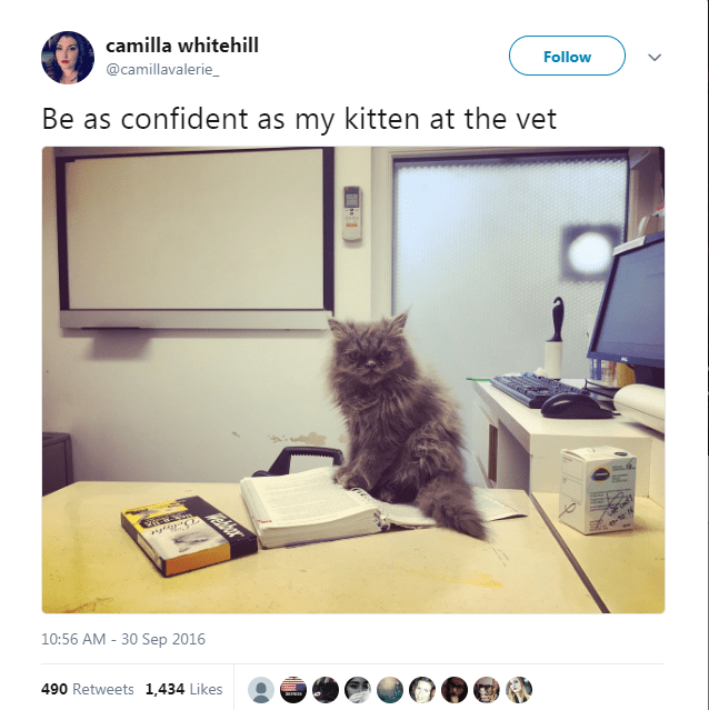 Caturday meme about a confident cat visiting the vet