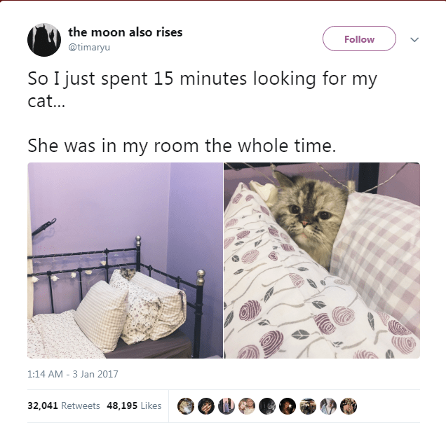 Caturday meme of a cat hiding between pillows