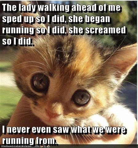 Caturday meme about a kitten following a woman and scaring her