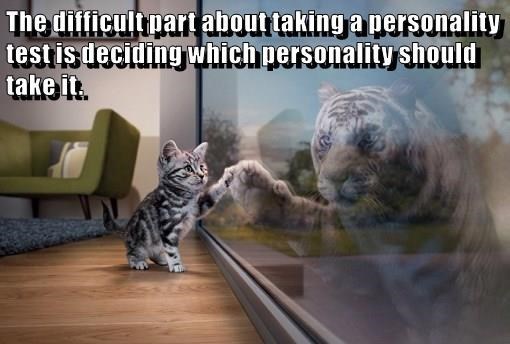 Caturday meme about having multiple personalities with pic of a kitten seeing a tiger as its reflection