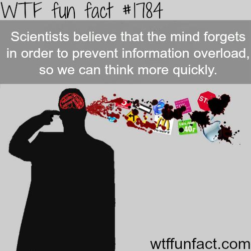 A batch of factoids to feed your brain