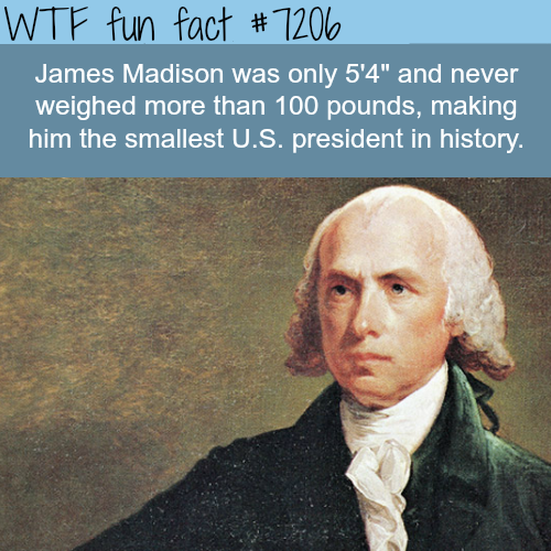 james madison - Wtf fun fact # 7206 James Madison was only 5'4" and never weighed more than 100 pounds, making him the smallest U.S. president in history.