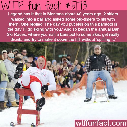 skiing fun facts - Wtf fun fact Legend has it that in Montana about 40 years ago, 2 skiers walked into a bar and asked some oldtimers to ski with them. One replied 'The day you put skis on this barstool is the day I'll go skiing with you.' And so began th