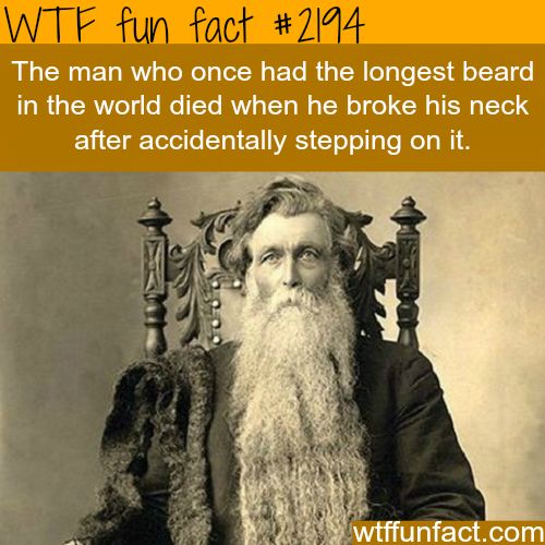 longest beard in the world - Wtf fun fact The man who once had the longest beard in the world died when he broke his neck after accidentally stepping on it. wtffunfact.com