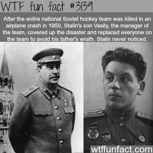 stalin son fact - Wtf fun fact After the entire national Soviet hockey team was killed in an airplane crash in 1950, Stalin's son Vasily, the manager of the team, covered up the disaster and replaced everyone on the team to avoid his father's wrath. Stali