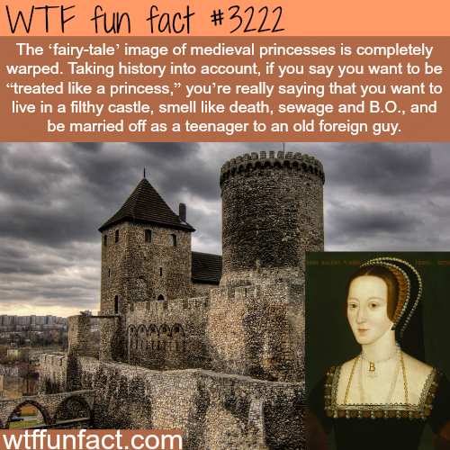 real life medieval princess - fun fact Wtf The 'fairytale image of medieval princesses is completely warped. Taking history into account, if you say you want to be "treated a princess," you're really saying that you want to live in a filthy castle, smell 