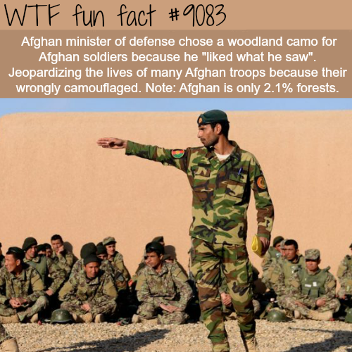 afghan uniforms - Wtf fun fact Afghan minister of defense chose a woodland camo for Afghan soldiers because he "d what he saw". Jeopardizing the lives of many Afghan troops because their wrongly camouflaged. Note Afghan is only 2.1% forests.