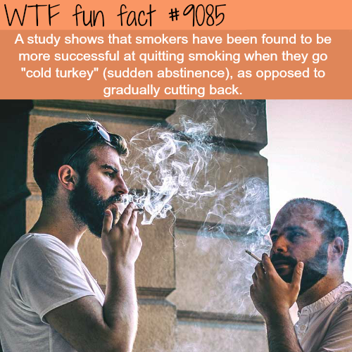 Smoking - Wtf fun fact A study shows that smokers have been found to be more successful at quitting smoking when they go "cold turkey" sudden abstinence, as opposed to gradually cutting back.