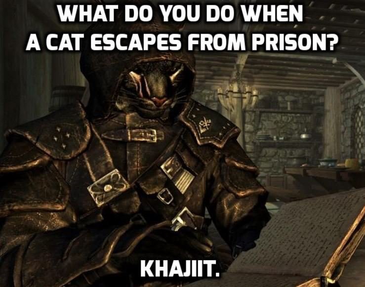 skyrim dad jokes - What Do You Do When A Cat Escapes From Prison? Khajiit.