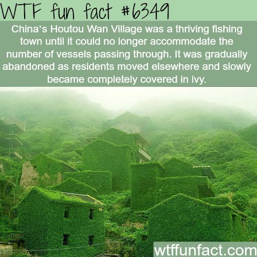 nature fun facts - Wtf fun fact China's Houtou Wan Village was a thriving fishing town until it could no longer accommodate the number of vessels passing through. It was gradually abandoned as residents moved elsewhere and slowly became completely covered