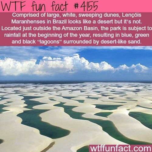 brazil deserts - Wtf fun fact Comprised of large, white, sweeping dunes, Lenis Maranhenses in Brazil looks a desert but it's not. Located just outside the Amazon Basin, the park is subject to rainfall at the beginning of the year, resulting in blue, green