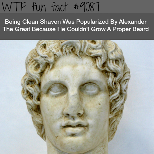 wtf history facts - Wtf fun fact Being Clean Shaven Was Popularized By Alexander The Great Because He Couldn't Grow A Proper Beard