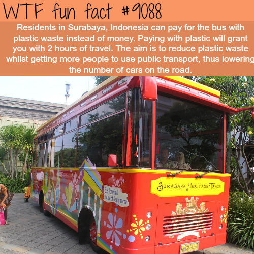 wtf fun facts buses - Wtf fun fact Residents in Surabaya, Indonesia can pay for the bus with plastic waste instead of money. Paying with plastic will grant you with 2 hours of travel. The aim is to reduce plastic waste whilst getting more people to use pu