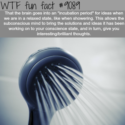 wtf facts about periods - Wtf fun fact That the brain goes into an "incubation period" for ideas when we are in a relaxed state, when showering. This allows the subconscious mind to bring the solutions and ideas it has been working on to your conscience s