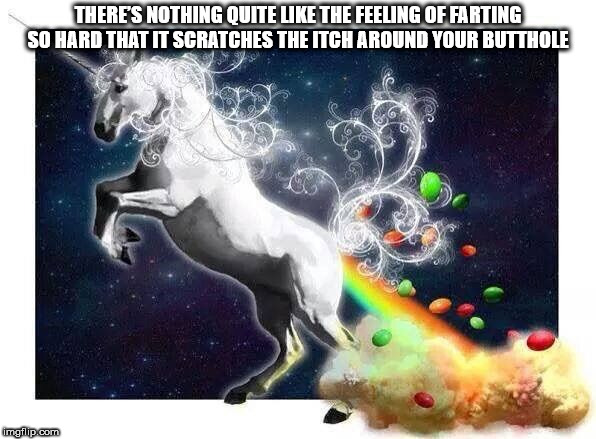 skittles rainbow unicorn - There'S Nothing Quite The Feeling Of Farting So Hard That It Scratches The Itch Around Your Butthole G Cos imgfilip.com