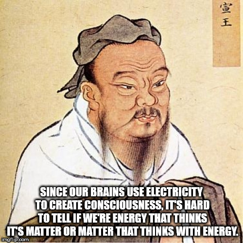 qing dynasty philosophy - Since Our Brains Use Electricity To Create Consciousness. It'S Hard To Tell If We'Re Energy That Thinks It'S Matter Or Matter That Thinks With Energy. imgflip.com