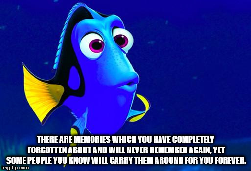 marine biology - There Are Memories Which You Have Completely Forgotten About And Will Never Remember Againlyet Some People You Know Will Carry Them Around For You Forever. imgflip.com