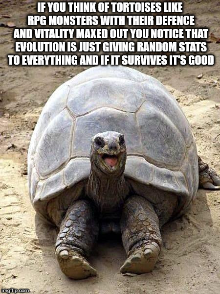 tortoise meme - If You Think Of Tortoises Rpg Monsters With Their Defence And Vitality Maxed Out You Notice That Evolution Is Just Giving Random Stats To Everything And Ifit Survives It'S Good imgflip.com