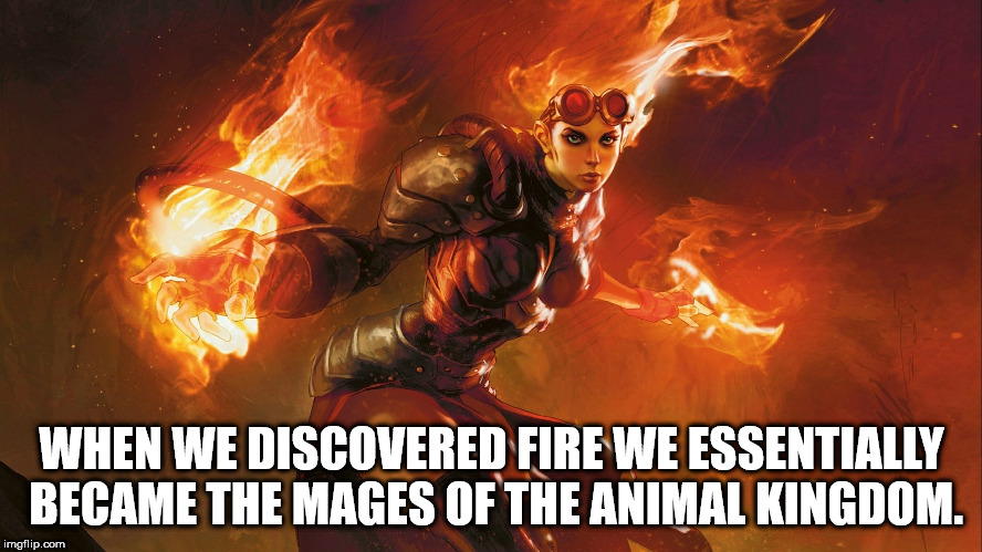 chandra the firebrand - When We Discovered Fire We Essentially Became The Mages Of The Animal Kingdom. imgflip.com