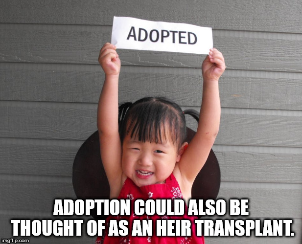 adoption child - Adopted Adoption Could Also Be Thought Of As An Heir Transplant. imgflip.com