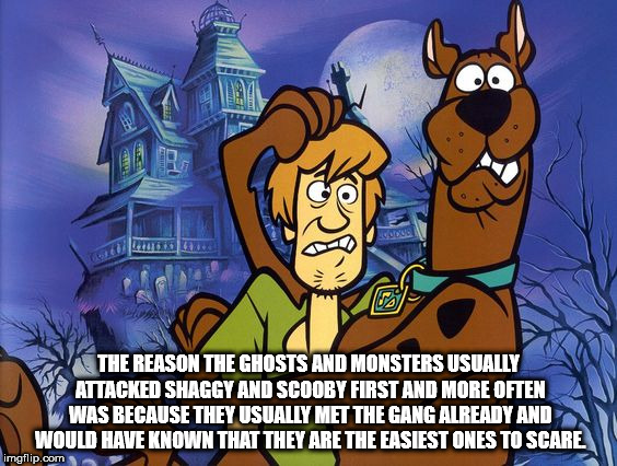 scooby doo and shaggy - La The Reason The Ghosts And Monsters Usually Attacked Shaggy And Scooby First And More Often Was Because They Usually Met The Gang Already And Would Have Known That They Are The Easiest Ones To Scare imgflip.com
