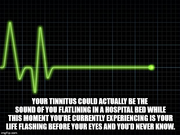 flatline - Your Tinnitus Could Actually Be The Sound Of You Flatlining In A Hospital Bed While This Moment You'Re Currently Experiencing Is Your Life Flashing Before Your Eyes And You'D Never Know. imgflip.com