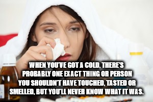 photo caption - When Youve Got A Cold, There'S Probably One Exact Thing Or Person You Shouldnt Have Touched, Tasted Or Smelled, But You'Ll Never Know What It Was