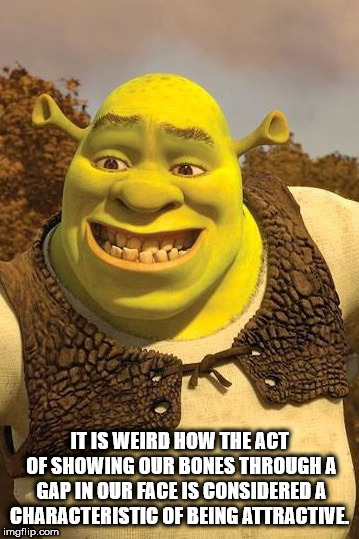 shrek scene - It Is Weird How The Act Of Showing Our Bones Through A Gap In Our Face Is Considered A Characteristic Of Being Attractive imgflip.com