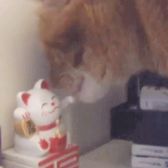 caturday gif of a cat playing with a lucky cat statue