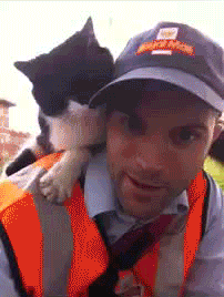 caturday gif of cat playing with a mailman