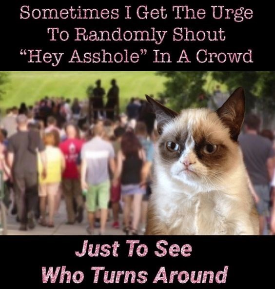 caturday meme with grumpy cat at a party