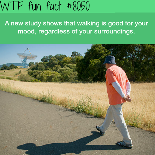 30 Fun Facts to Learn You Something