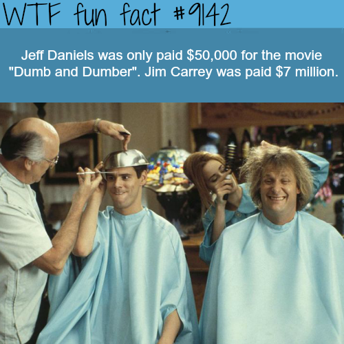 30 Fun Facts to Learn You Something