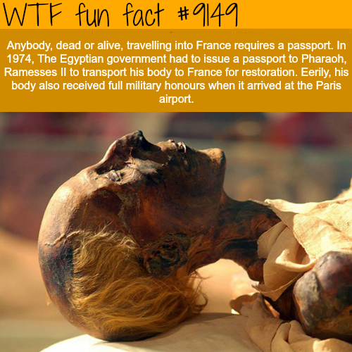 30 Fun Facts to Learn You Something