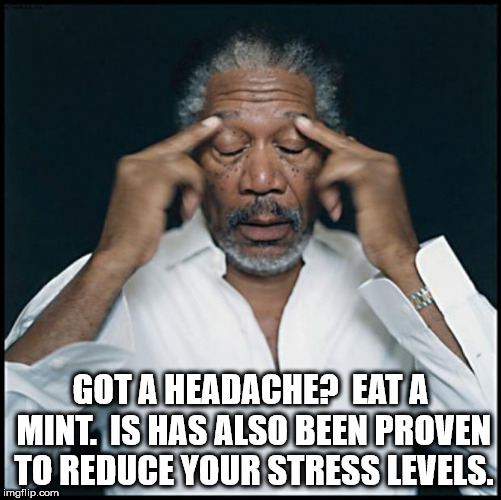 morgan freeman fingers on head - Got A Headachep Eata Mint. Is Has Also Been Proven To Reduce Your Stress Levels. imgflip.com