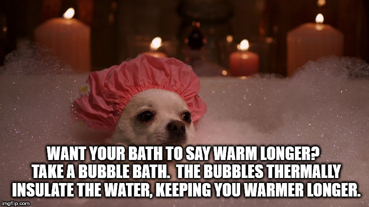 carl sagan meme - Want Your Bath To Say Warm Longer? Take A Bubble Bath. The Bubbles Thermally Insulate The Water Keeping You Warmer Longer imgflip.com