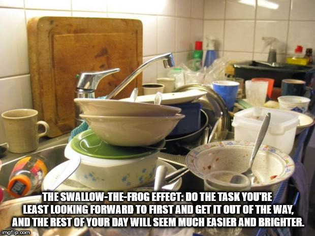 dirty dishes - The SwallowTheFrog Effect Do The Task You'Re Least Looking Forward To First And Get It Out Of The Way, And The Rest Of Your Day Will Seem Much Easier And Brighter. imgflip.com