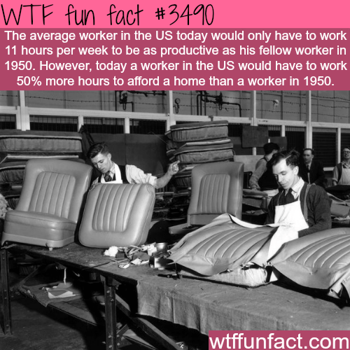 car - Wtf fun fact The average worker in the Us today would only have to work 11 hours per week to be as productive as his fellow worker in 1950. However, today a worker in the Us would have to work 50% more hours to afford a home than a worker in 1950.…