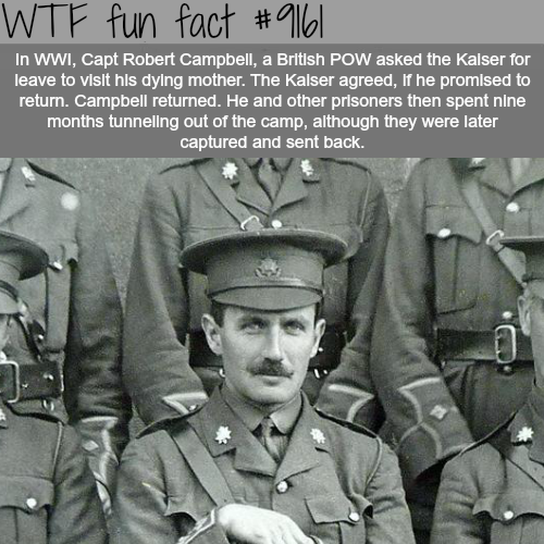 officer wwi british - Wtf fun fact In Wwi, Capt Robert Campbell, a British Pow asked the Kalser for leave to visit his dying mother. The Kalser agreed, if he promised to return. Campbell returned. He and other prisoners then spent nine, months tunneling o