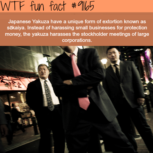 anton kusters yakuza - Wtf fun fact Japanese Yakuza have a unique form of extortion known as skaiya. Instead of harassing small businesses for protection money, the yakuza harasses the stockholder meetings of large corporations.