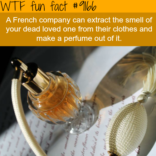 wtf perfume facts - Wtf fun fact A French company can extract the smell of your dead loved one from their clothes and make a perfume out of it. ro Werflow Wisdaind its the