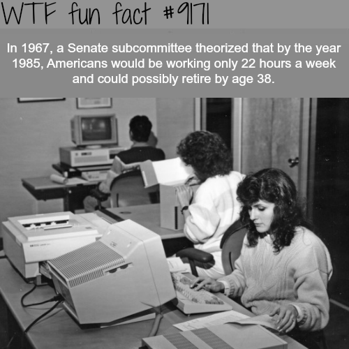 computer wtf facts - Wtf fun fact In 1967, a Senate subcommittee theorized that by the year 1985, Americans would be working only 22 hours a week and could possibly retire by age 38.