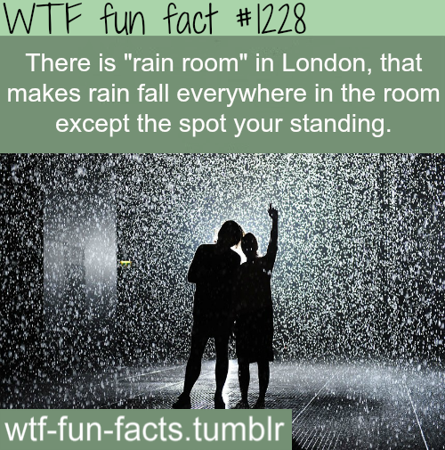 wtf fun facts - Wtf fun fact There is "rain room" in London, that makes rain fall everywhere in the room except the spot your standing. wtffunfacts.tumblr